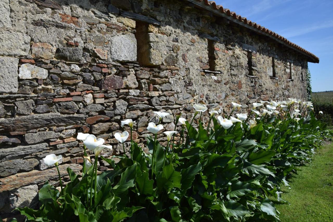 A La Haute Bouillere Bed & Breakfast Chavagnes-les-Redoux Exterior photo